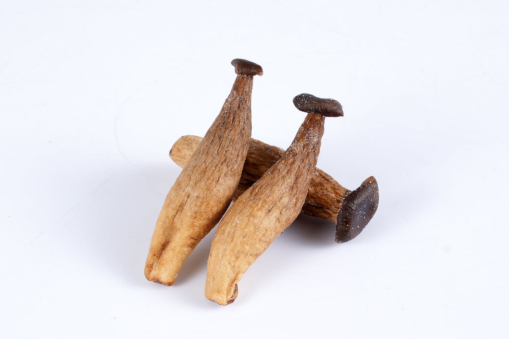 Crispy Chips Antler Mushroom (Sea Salt) 1.4 oz