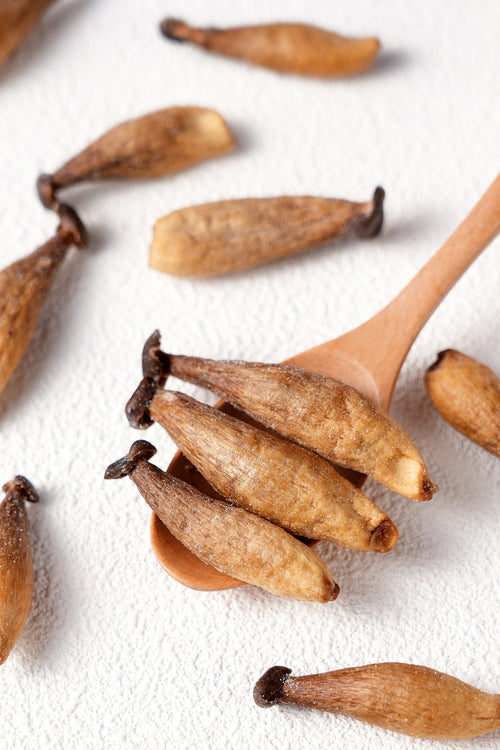 Crispy Antler Mushroom Chips -Sour Cream & Onion
