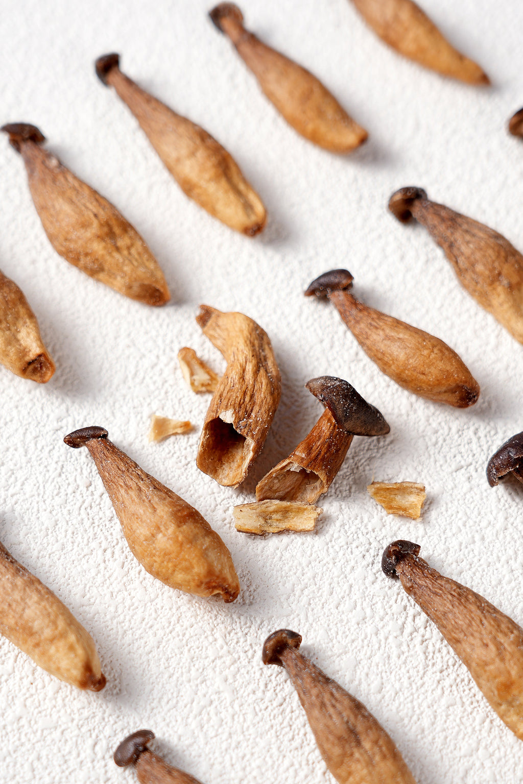 Crispy Chips Antler Mushroom (Sea Salt) 1.4 oz